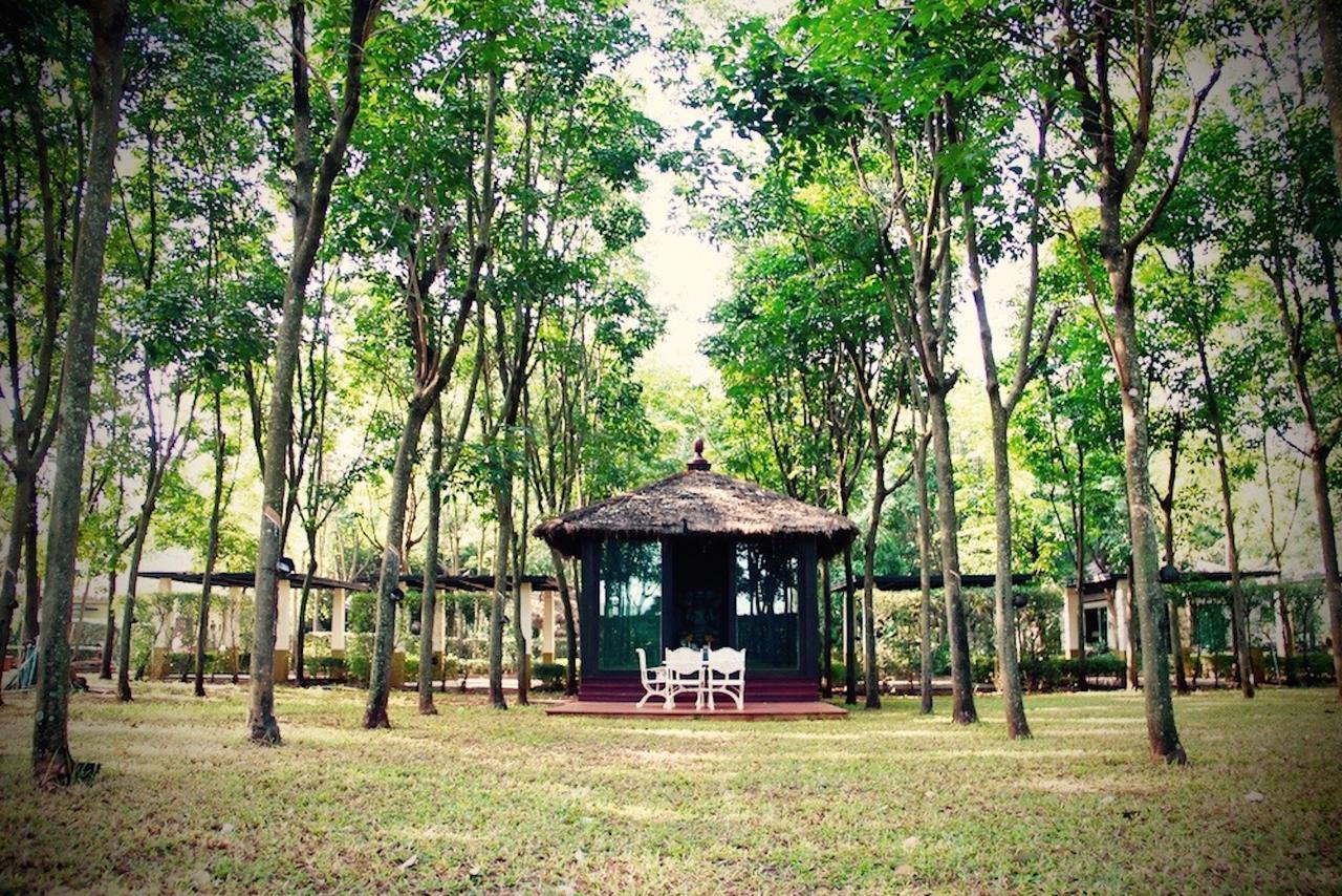 Hotel Singha Rubber Tree Ban Huai Maenam Noi Exteriér fotografie