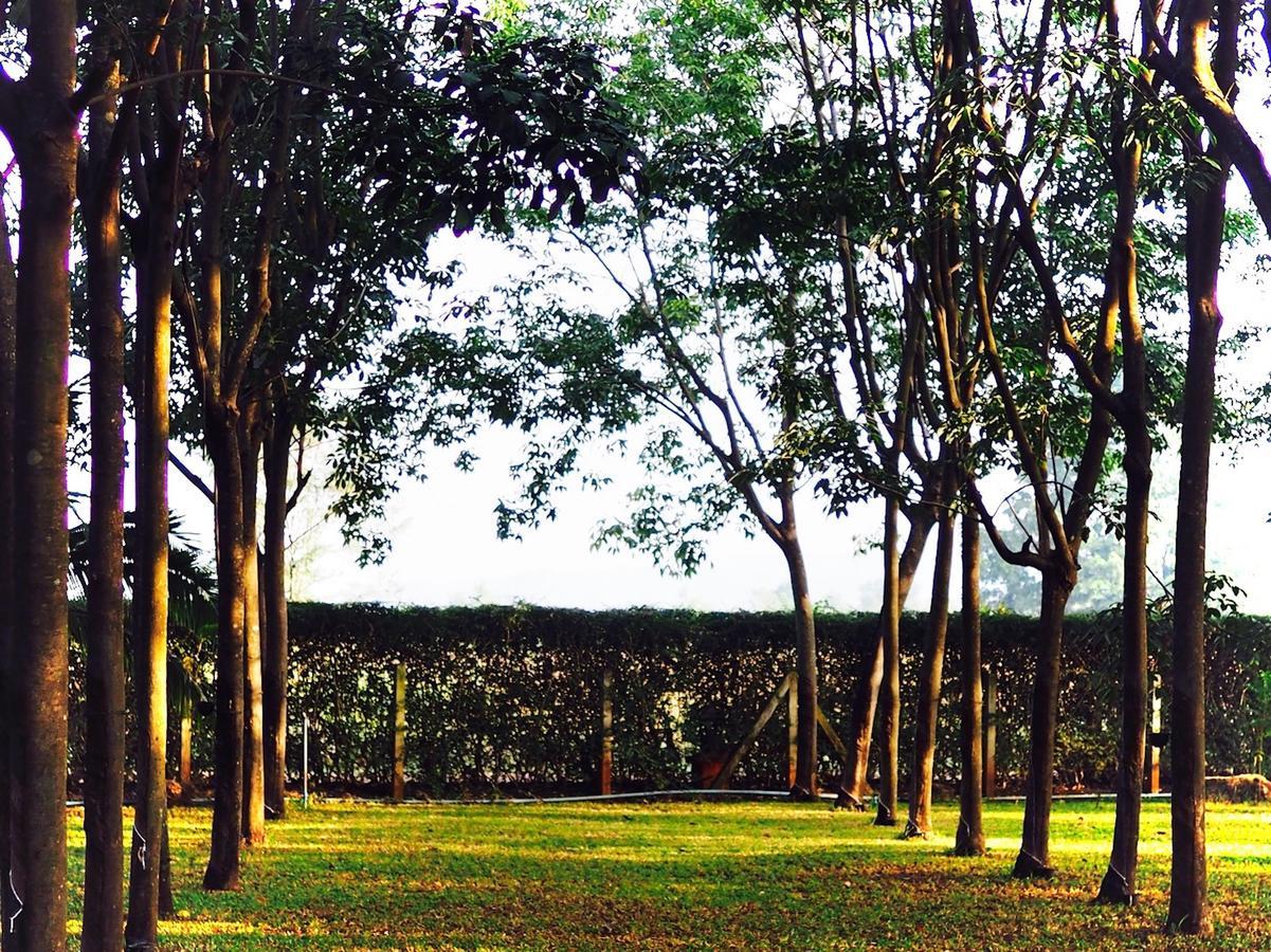 Hotel Singha Rubber Tree Ban Huai Maenam Noi Exteriér fotografie