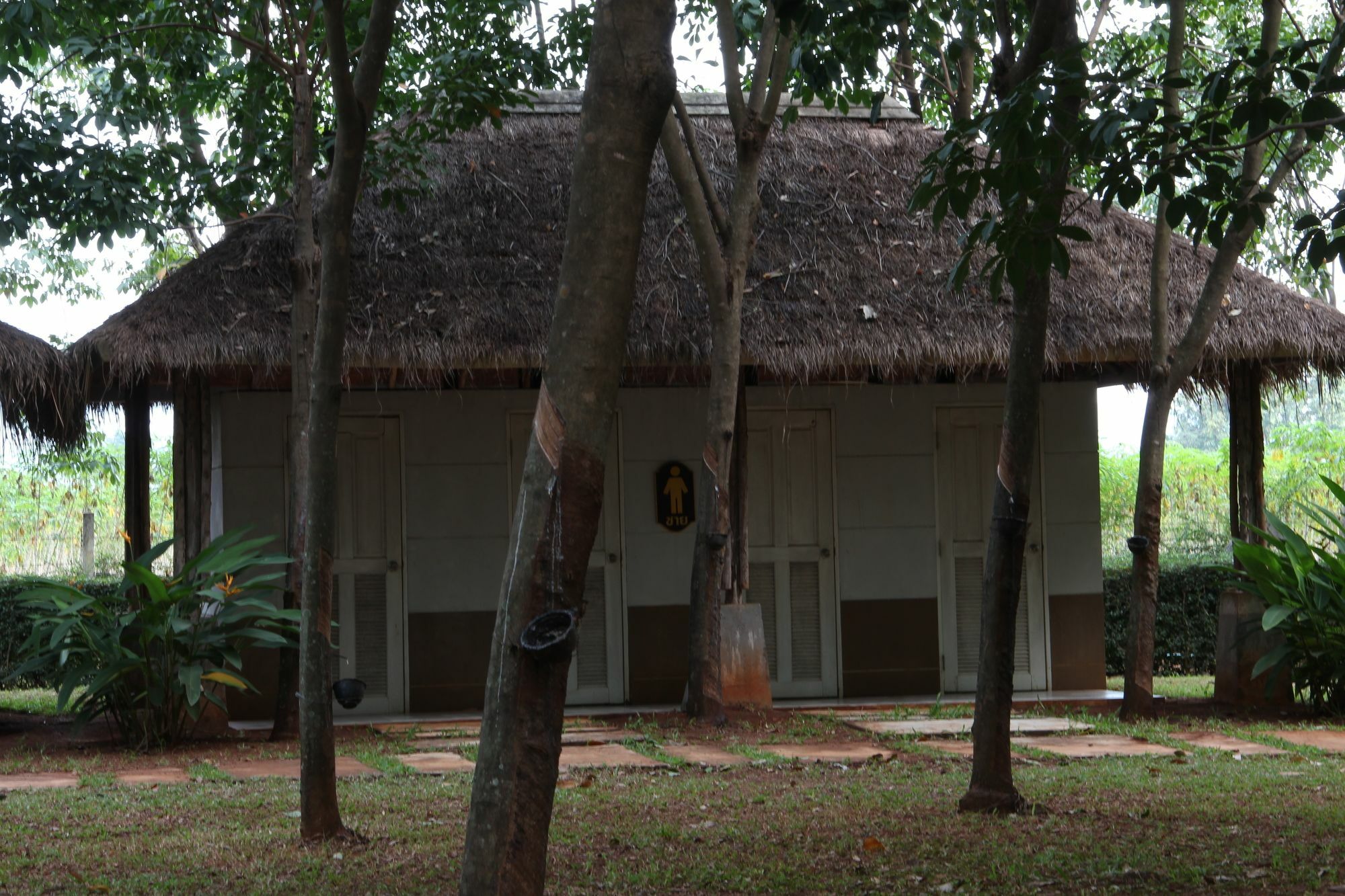 Hotel Singha Rubber Tree Ban Huai Maenam Noi Exteriér fotografie