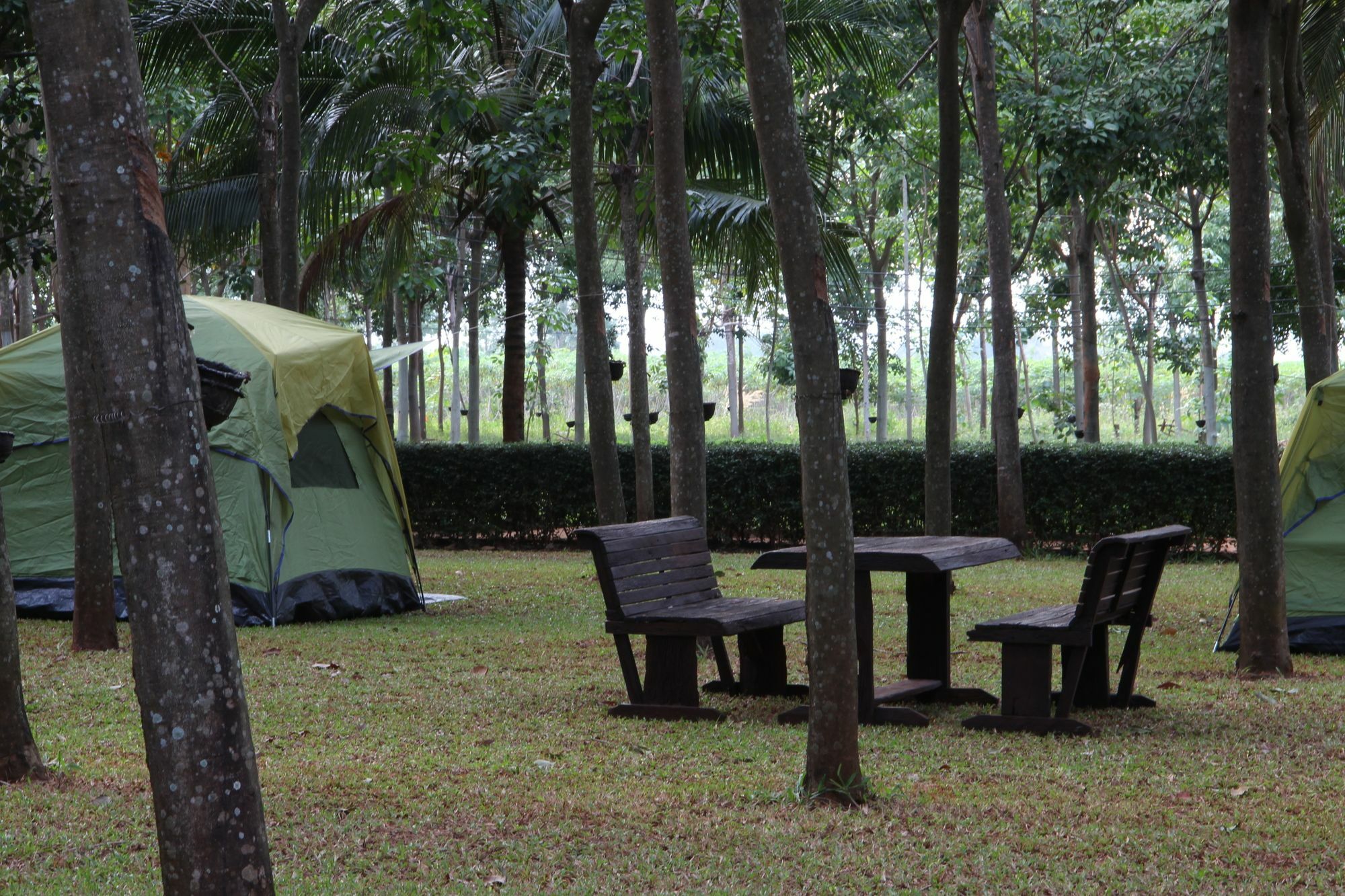Hotel Singha Rubber Tree Ban Huai Maenam Noi Exteriér fotografie