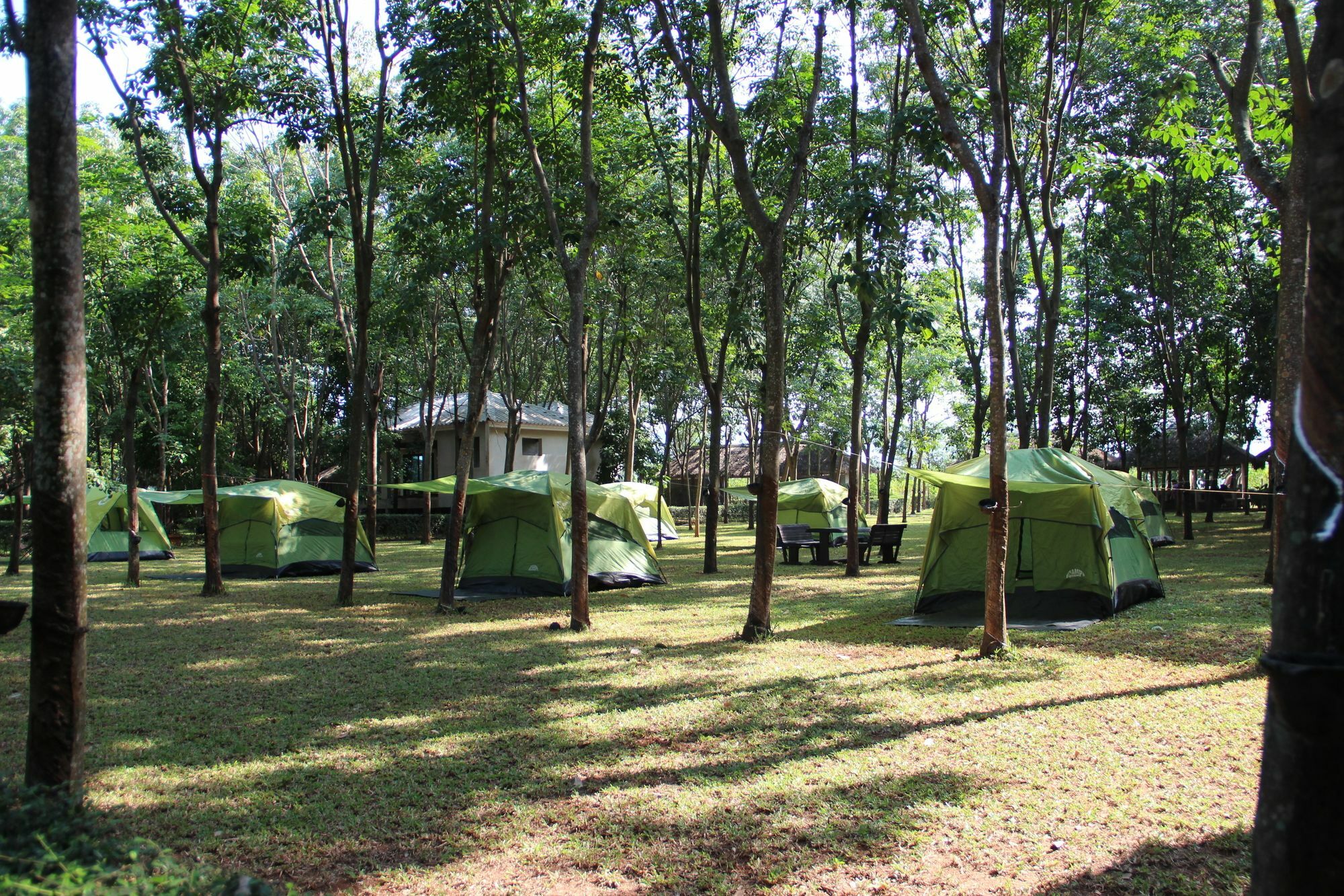 Hotel Singha Rubber Tree Ban Huai Maenam Noi Exteriér fotografie